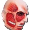 Banpresto Attack On Titan Mask Colossal Titan APPAREL